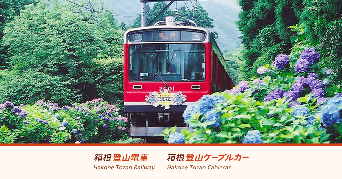 登山電車・ケーブルカー｜箱根ナビ