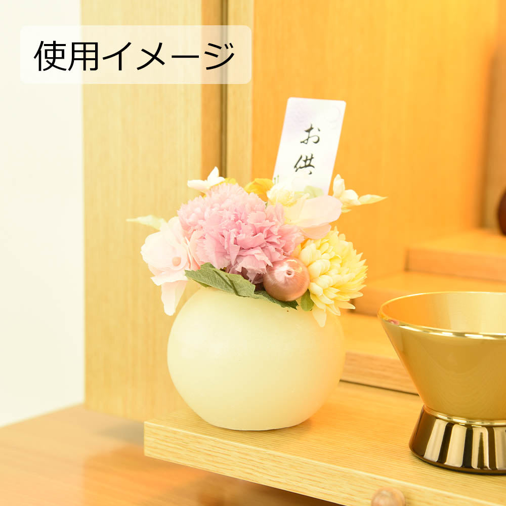 4967116869067d10.jpg?v=1767750395