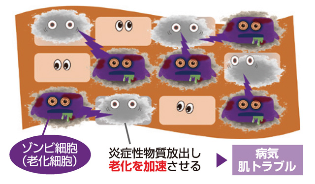 HERMOSA｜SERIEUX LaPreparationX Washing Cream