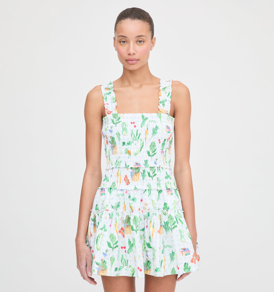 TheAzaleaMiniNapDress_Farmer_s