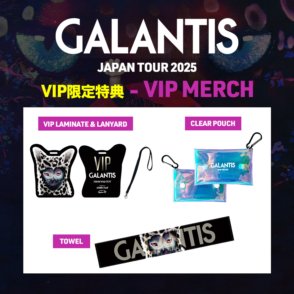 Galantis Japan Tour 2025来日公演特設サイト- H.I.P.
