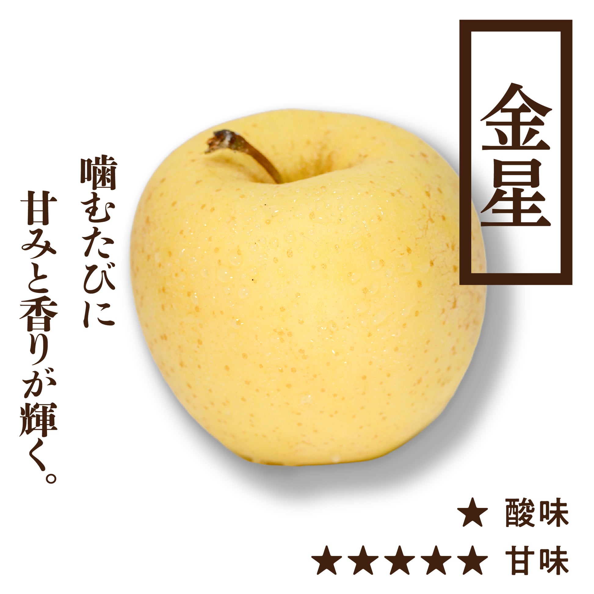 年内発送】新春特別 福箱りんご5kg 3種詰め合わせ | 産地直送通販