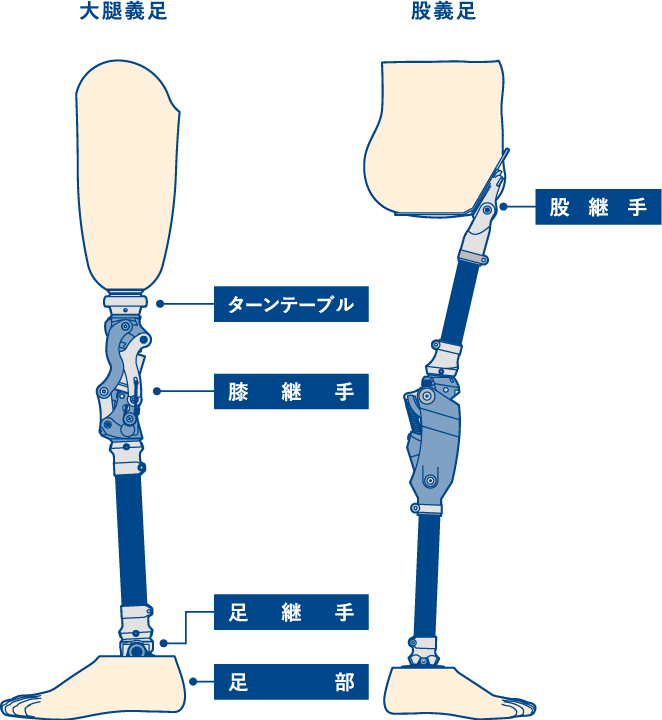 義肢・装具｜製品紹介｜株式会社今仙技術研究所