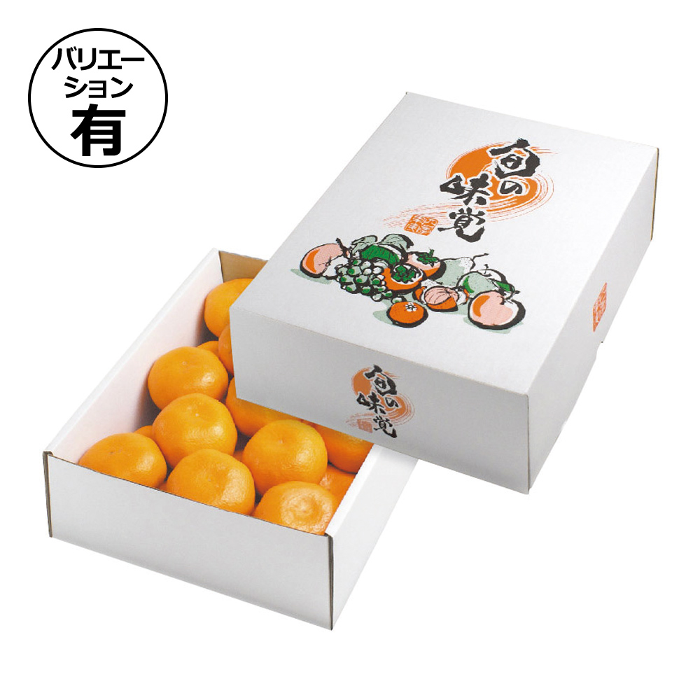 ギフト箱（フルーツ用）四季ノ果実 230×300×110mmほか「50枚