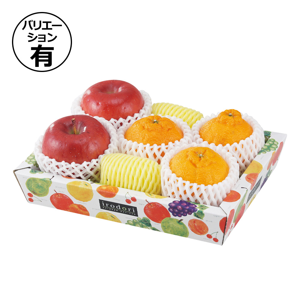 ギフト箱（フルーツ用）盛箱Vいろどり 182×262×50mmほか「80枚・100枚