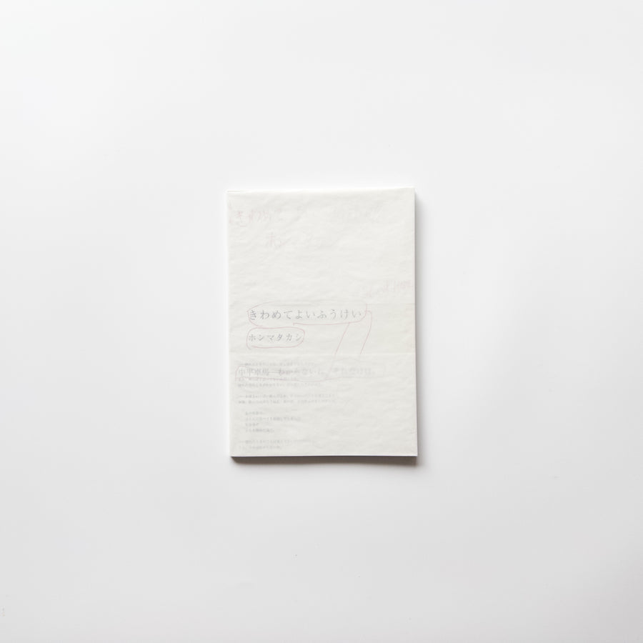 きわめてよいふうけい by ホンマタカシ – IACK