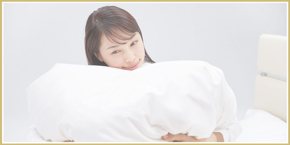 羽毛布団「ダウナ Nレギュラー」全4サイズ サービスカバー付き