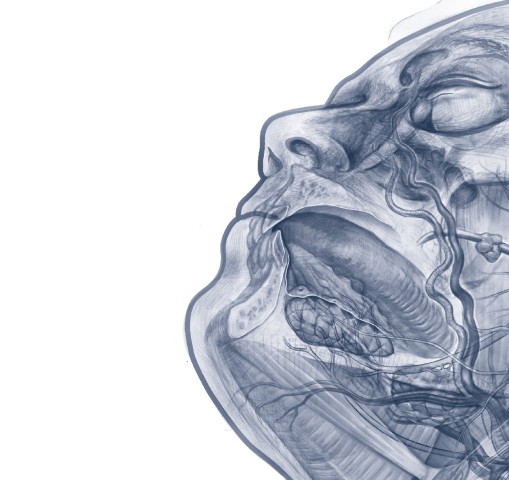 耳鼻咽喉・頭頸部手術アトラス下巻2e_立ち読み