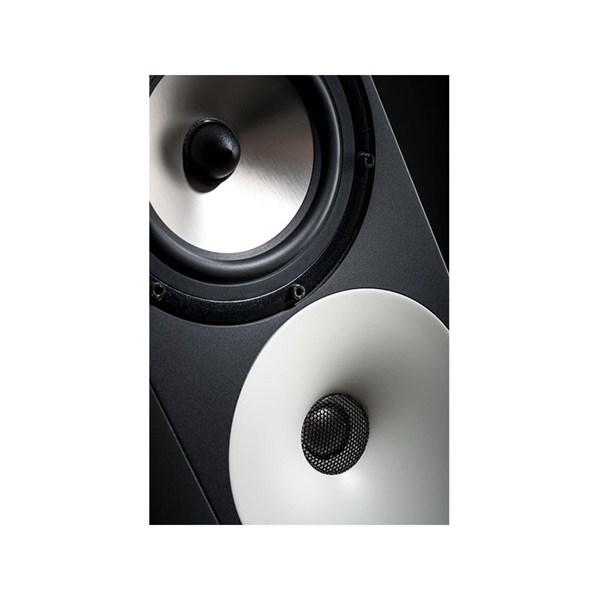 Amphion 【受注生産品】Two18 (ペア)(パッシブモニタースピーカー