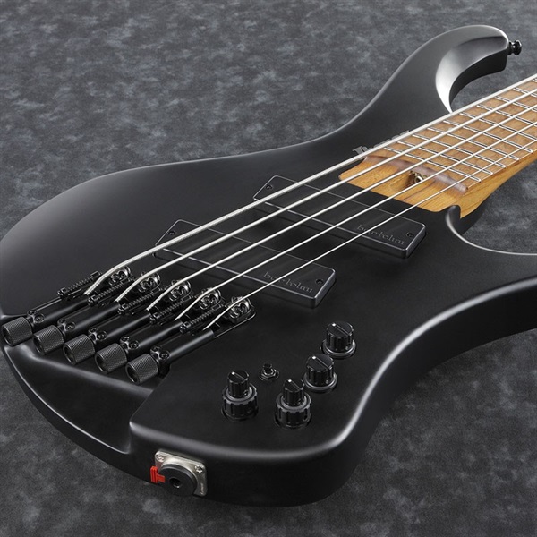 Ibanez Bass Workshop EHB1005MS-BKF [マルチスケール採用モデル