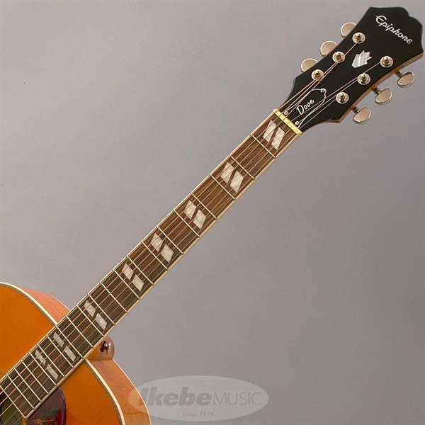 Epiphone 【数量限定エピフォン・アクセサリーパックプレゼント】DOVE