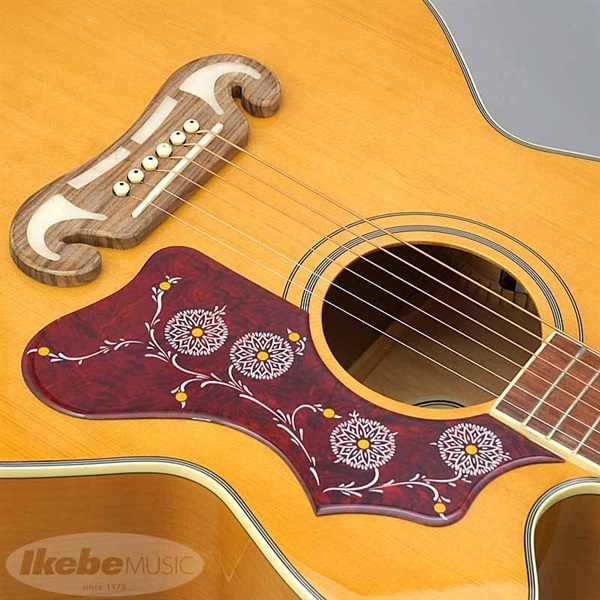 Epiphone 【数量限定エピフォン・アクセサリーパック・プレゼント】J