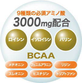 ピュレット.ツー - 製品情報 - IPSコスメティックス