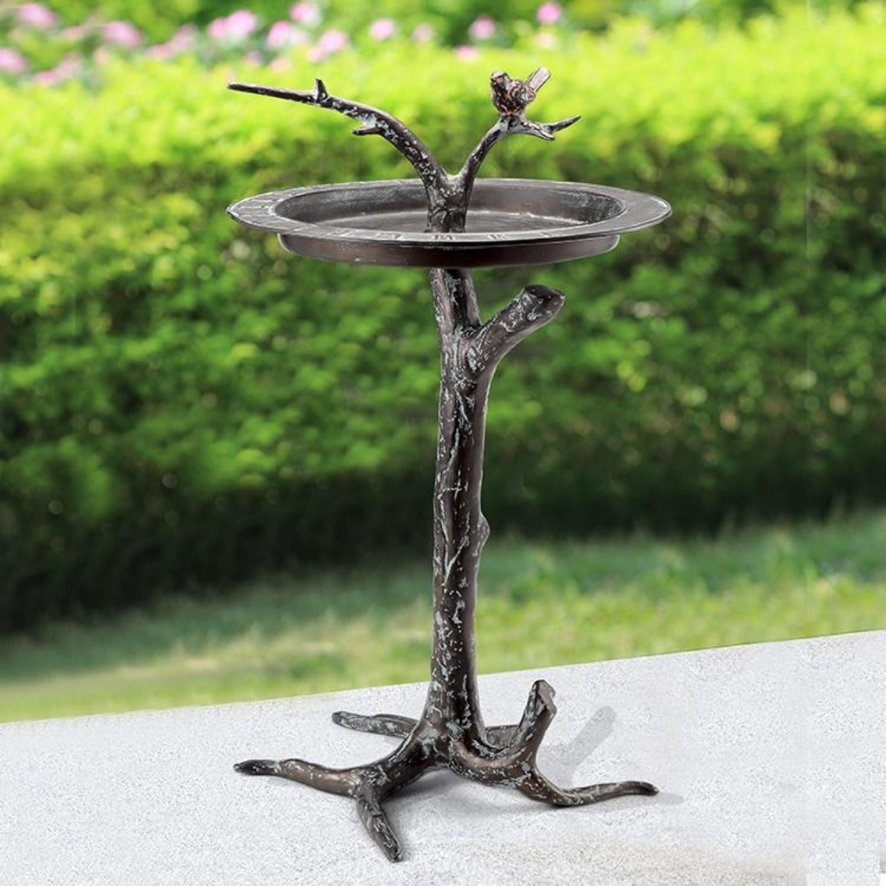 Bird & Twig Birdbath / Sundial - Iron Accents