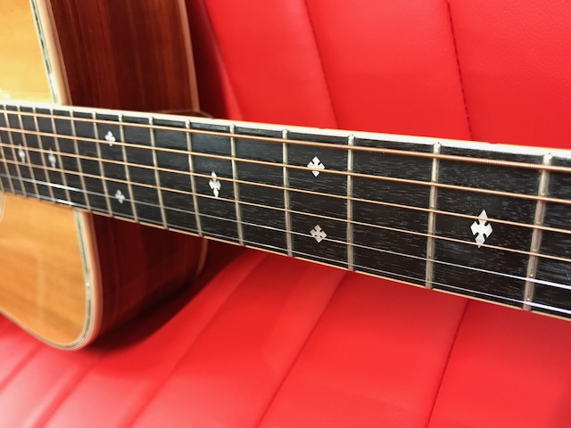 これぞジャパンヴィンテージの雄！ | イシバシ楽器スタッフブログ