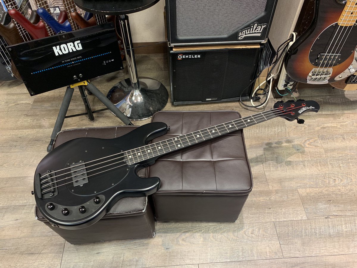 カッコよすぎるスティング・レイが入荷!! | イシバシ楽器スタッフブログ