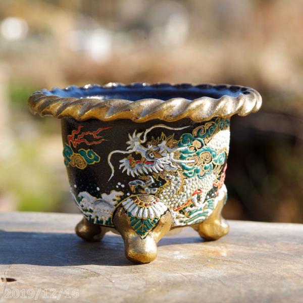 山野草の石田精華園 / 愛楽園