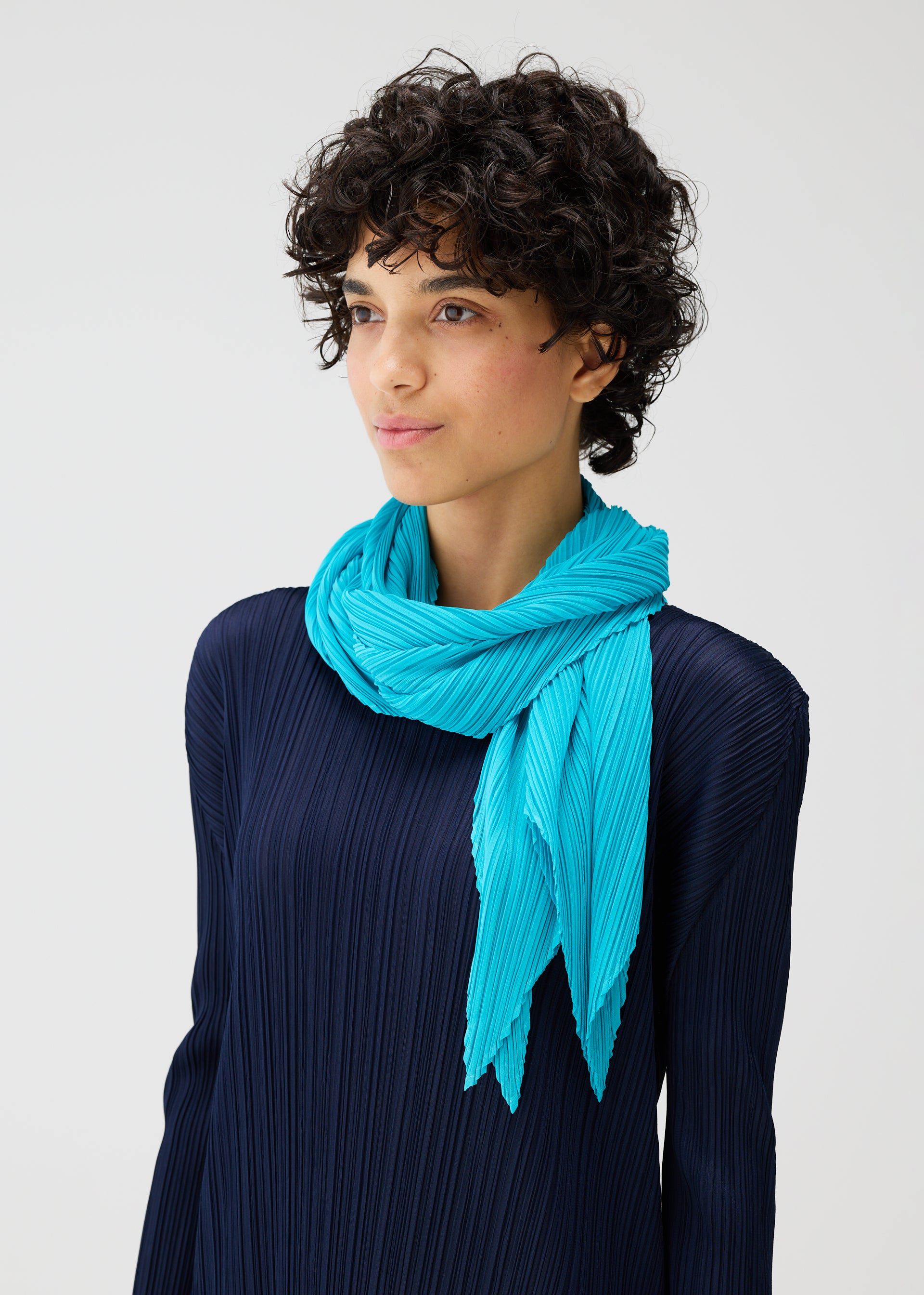 MONTHLY SCARF JANUARY – isseymiyake.com