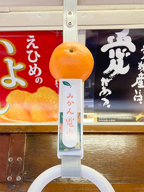 観光・沿線おでかけ | ご当地電車 | 伊予鉄