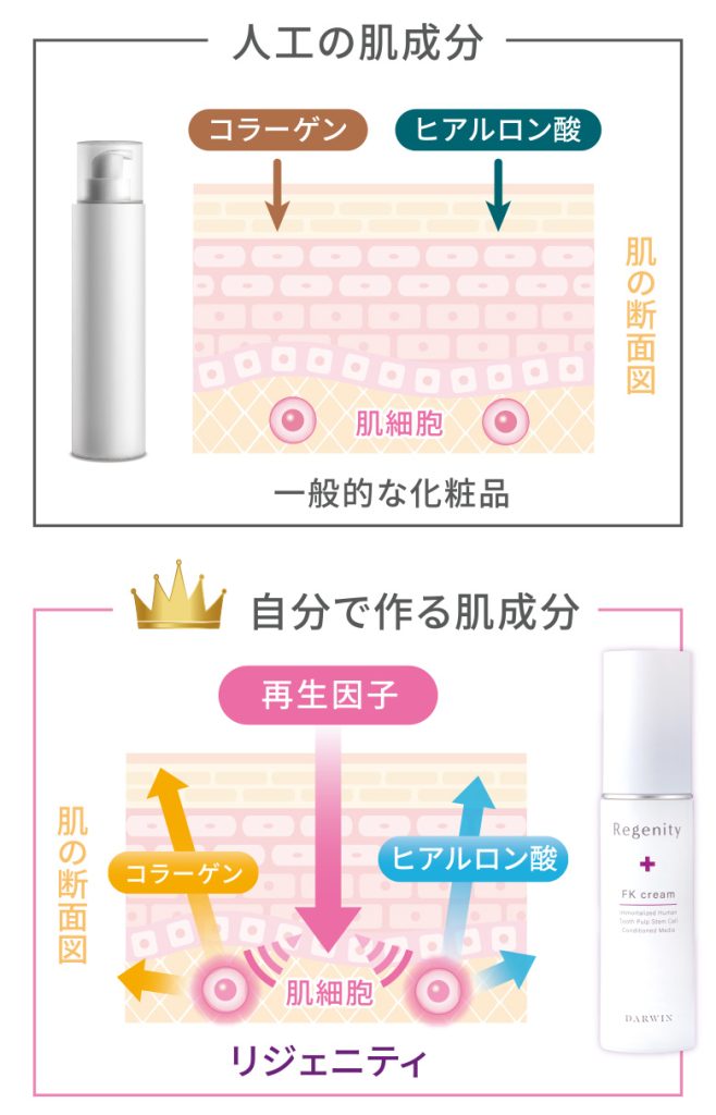 Darwin リジェニティ FKクリーム 30g（店）