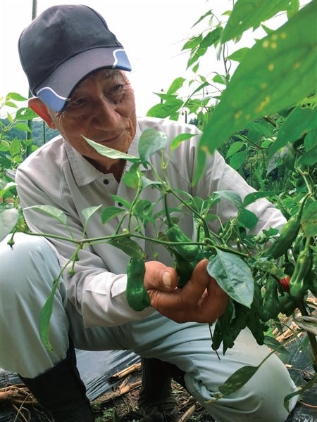 徳山唐辛子みそ レギュラー＆超激辛 140g×3個セット: JAぎふ 清流