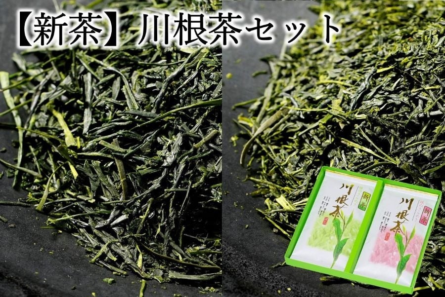 静岡の新茶】川根（かわね）茶: しずおか『手しお屋』|【JAタウン