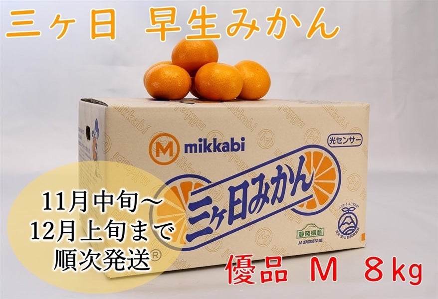三ヶ日早生みかん（優品）M 8kg JAみっかび: しずおか『手しお屋