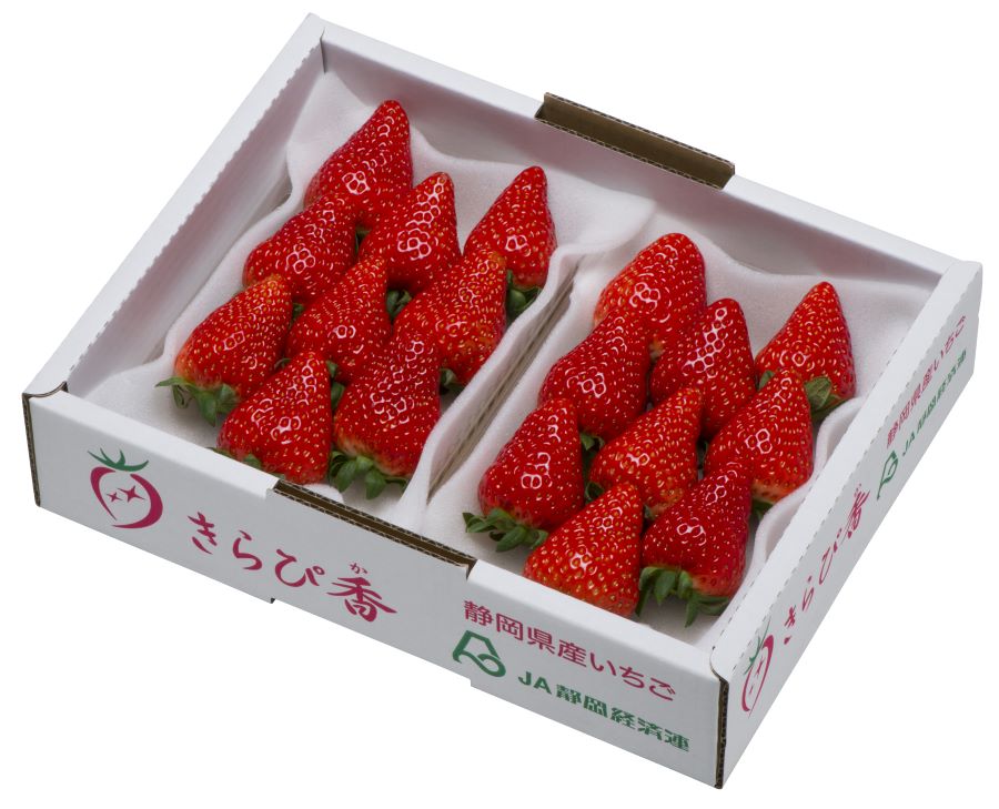 静岡いちご きらぴ香 260g×2パック入り JA静岡市: しずおか『手しお