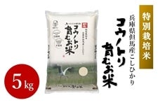 終売】○JA全農兵庫×ファミリア○ レジかごバッグセット（JAたじま