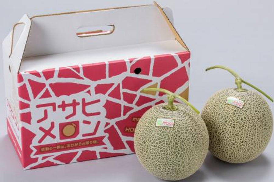 2025年受付終了】JAとまこまい広域 アサヒメロン秀品約1.6㎏×2玉《7月