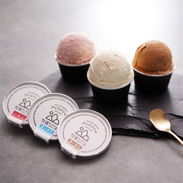 デーリィーファーム若松 牧場の山カフェ アイスクリームセット12個入