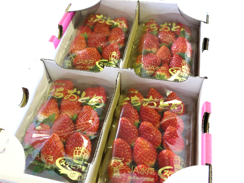 茨城県産いちご 『とちおとめ』 JA水戸（約260g×4pk入）【1月中旬頃