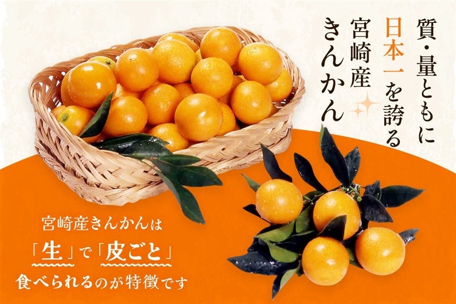 宮崎完熟きんかん【たまたまエクセレント】1kg: JAみやざき Tege
