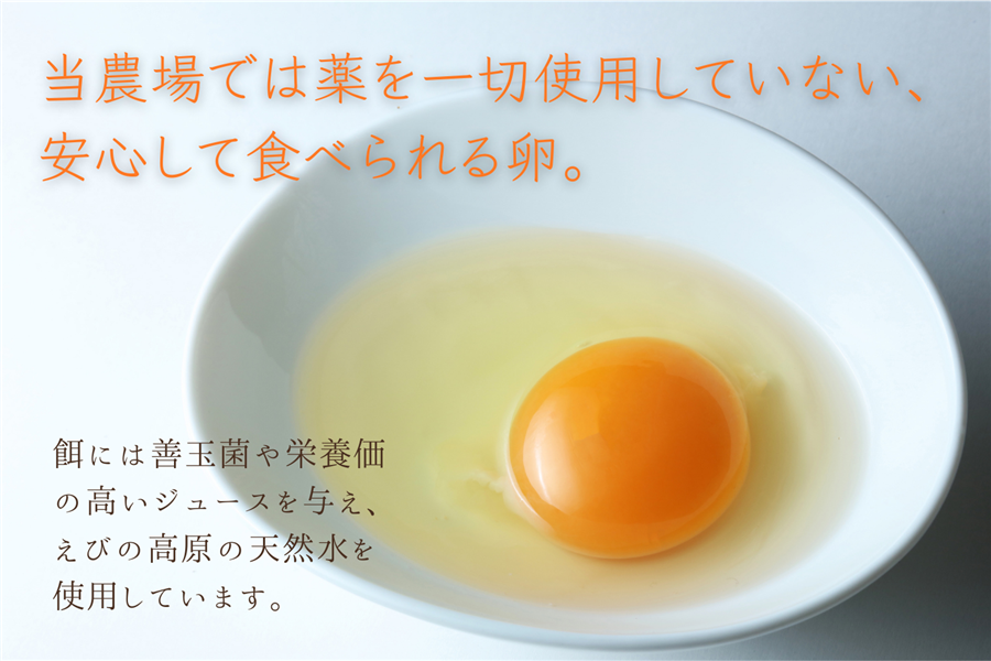 東養鶏場 えびの高原たまご10個入り×6パック: JAみやざき Tege