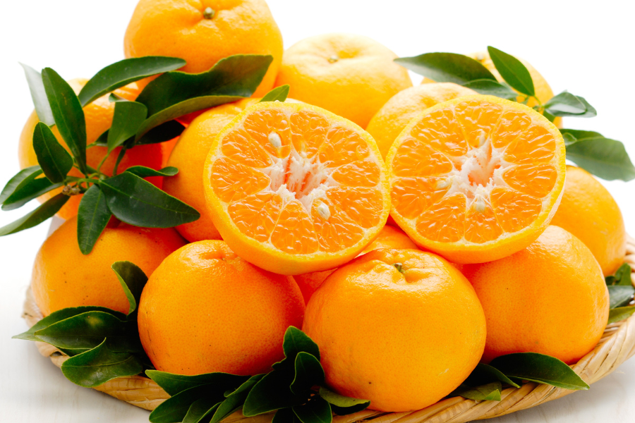 お歳暮】JA種子屋久 屋久島ぽんかん3kg: JA鹿児島県経済連 鹿児島の