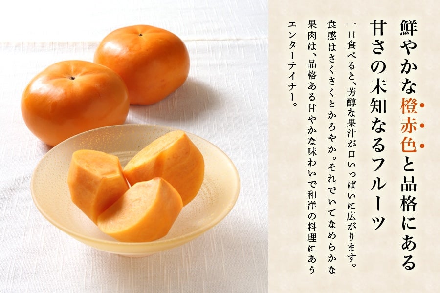 2026年10月予約開始予定】◎福岡県オリジナル品種『秋王』柿 化粧箱（5