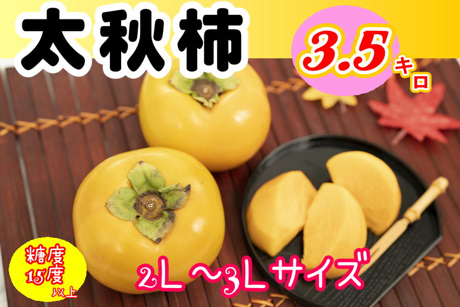 熊本宇城産】太秋柿3.5㎏: JA熊本うきっ子ショップ|【JAタウン