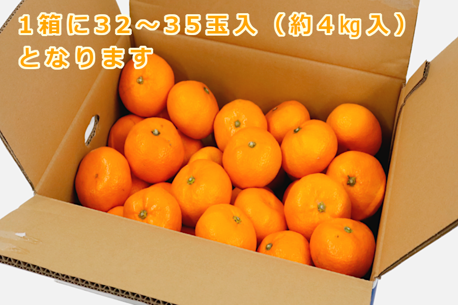 特選みかん「夢の恵」品種：青島みかん（Lサイズ・4㎏入）: JA熊本市