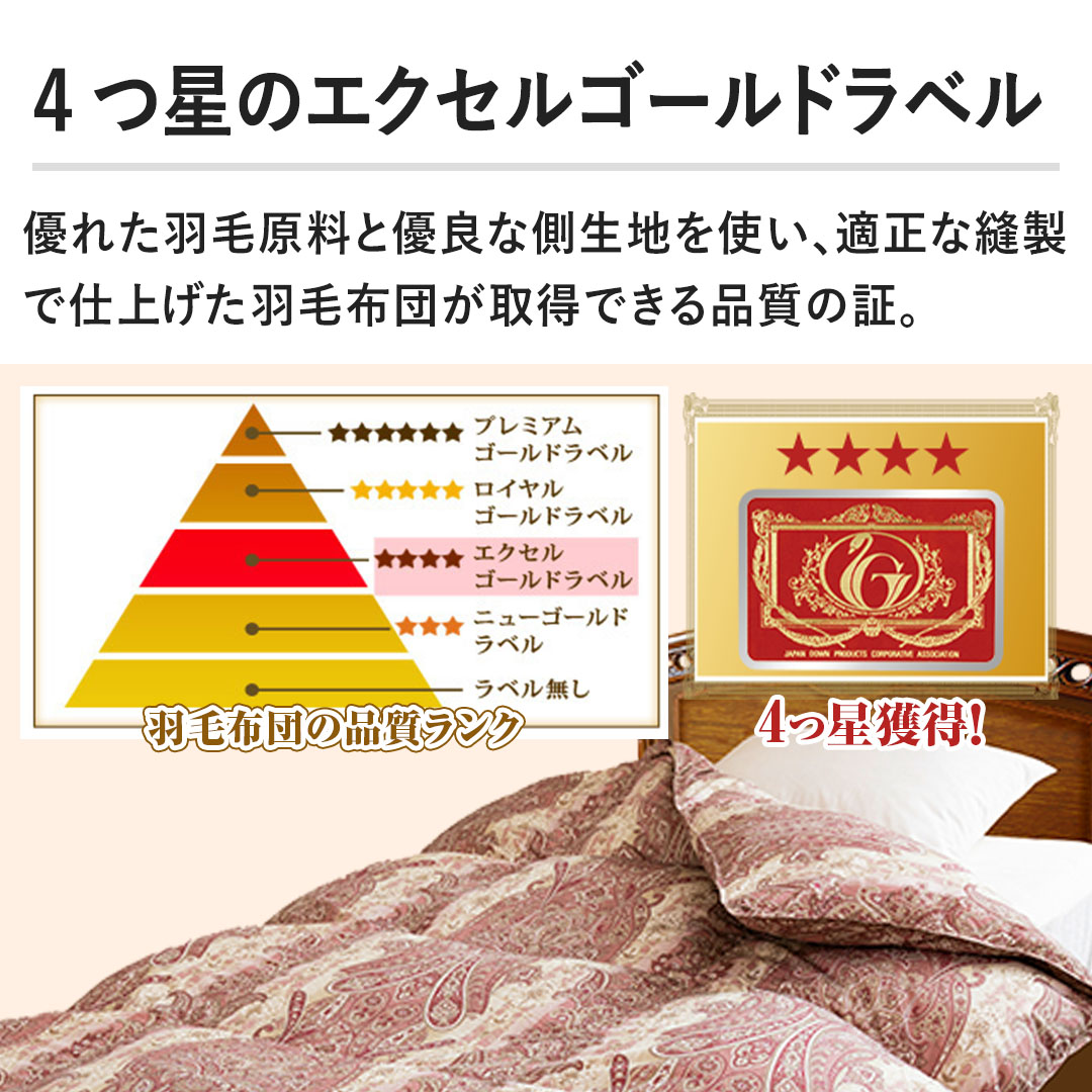 モリリン 布団・快眠グッズ 柄任せエクセル羽毛掛け布団 ダブルロング