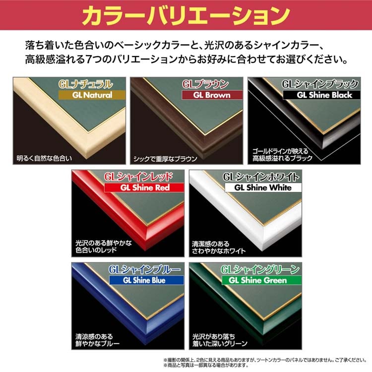 EPP-46-316 ゴールドライン No.16 / 10-T シャインブラック 51×73.5cm