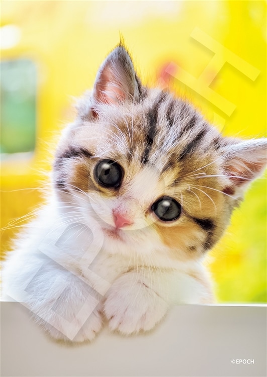 EPO-03-096 ペット・動物 にゃんだろう？ 108ピース ［CP-CA