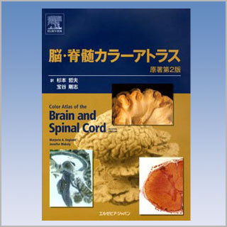 書籍 脳・脊髄カラーアトラス