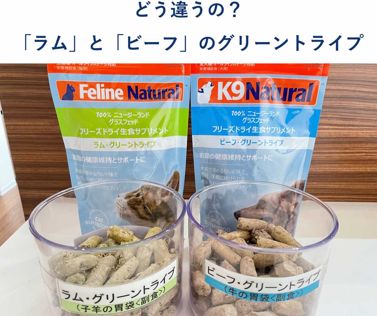 どう違うの？「ラム」と「ビーフ」のグリーントライプ/獣医師が伝える