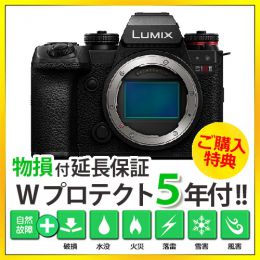荻窪カメラのさくらや / パナソニック DC-S1RM2 ボディ 【限定特典付き】