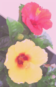 小倉遊亀 菖蒲と紫陽花 | 絵画など美術品の販売と買取 | 東京・銀座