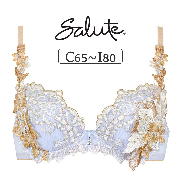 BTJ402｜ワコール サルート 02G ブラジャー単品 P-upタイプ CDEFGHI