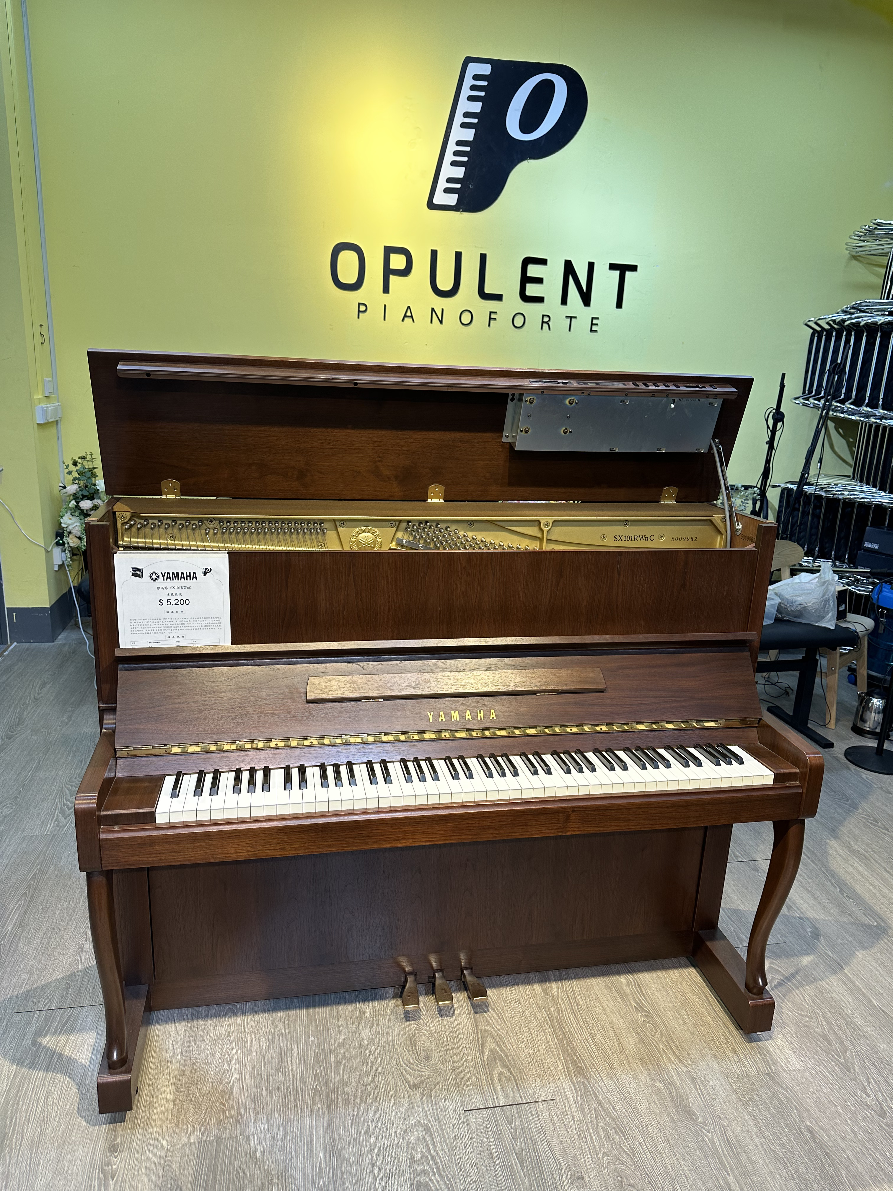 STEINWAY Piano Singapore in stock - Opulent Pianoforte SG