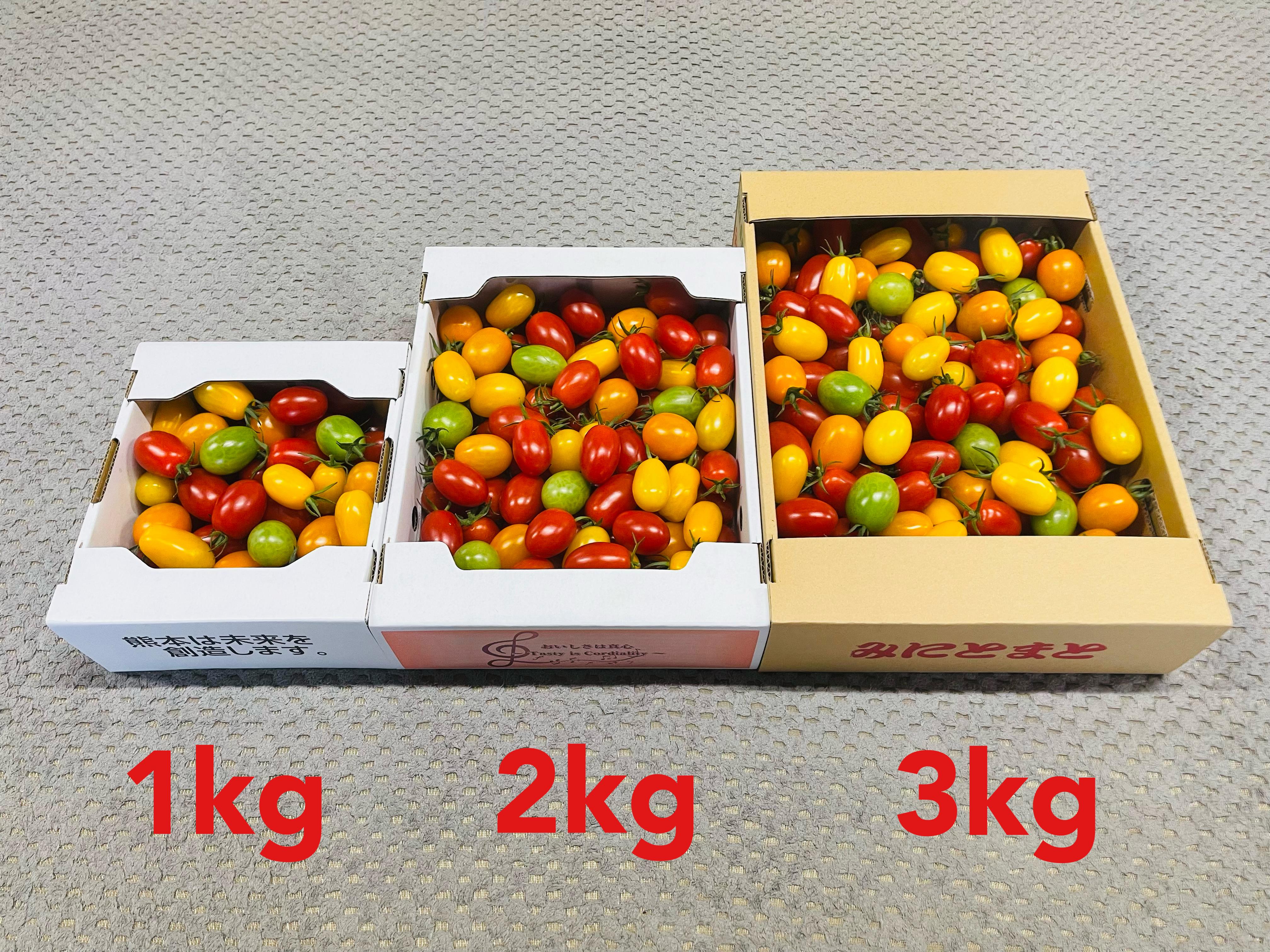 商品詳細｜美味しさへのこだわりが詰まったトマトを届ける｜サザキ農園