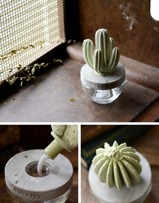 CACTUS フレグランスディフューザー ナチュラルインテリア 生活雑貨の