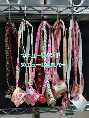 スタッフブログ